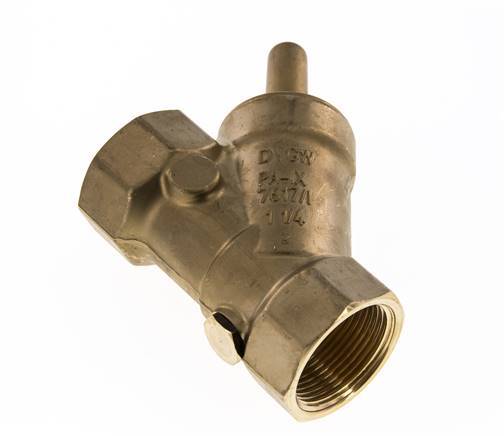 Rp 3/4'' Latón Válvula De Retención Tipo Y 10 Bar (145 Psi) FKM