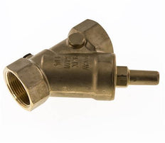 Rp 3/4'' Latón Válvula De Retención Tipo Y 10 Bar (145 Psi) FKM