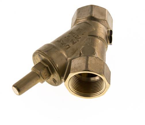 Rp 3/4'' Latón Válvula De Retención Tipo Y 10 Bar (145 Psi) FKM