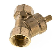 Rp 1-1/4'' Latón Válvula De Retención Tipo Y 10 Bar (145 Psi) FKM