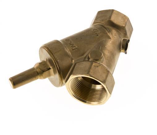 Rp 2'' Latón Válvula De Retención Tipo Y 10 Bar (145 Psi) FKM