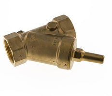 Rp 2'' Latón Válvula De Retención Tipo Y 10 Bar (145 Psi) FKM