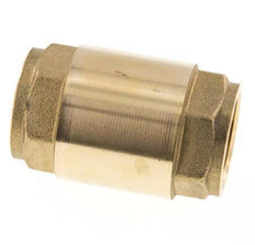 G 1'' Latón Válvula Antirretorno Para Vacío -0.95..25 Bar (-13.7..362.5 Psi)