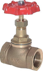G 2-1/2'' Válvula de globo de bronce 16 bar